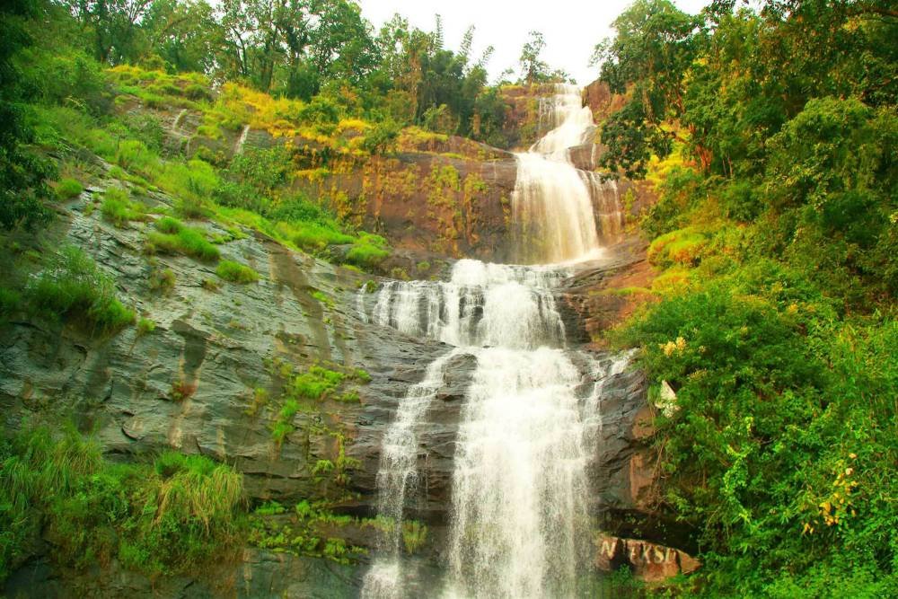 Cheeyappara Falls